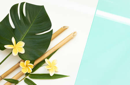 Top view tropical leaves on vibrant background. Summer flat lay composition.の写真素材