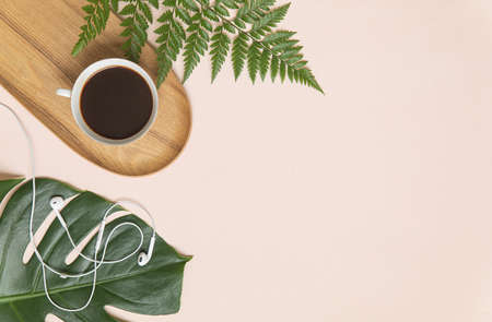 Top view tropical leaves on vibrant background. Summer flat lay composition.の写真素材