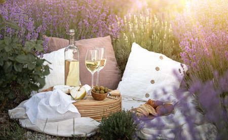 Picnic at sunset in the lavender field. White wine and cheese.の写真素材
