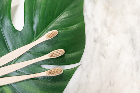 Bamboo toothbrush on a table with copy space on a marble background. Styled composition of flat lay with monstera leaves .の写真素材