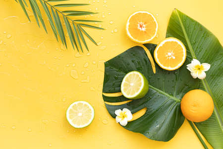Fresh oranges and tropical leaf. Cutted citrus fruit for natural cosmeticsの写真素材