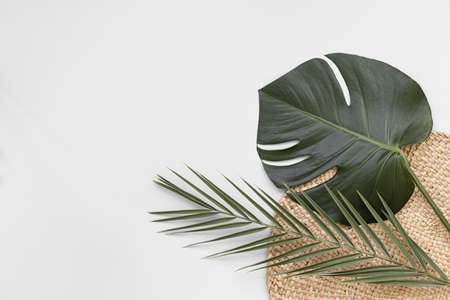 Top view tropical leaves on vibrant background. Summer flat lay composition.の写真素材