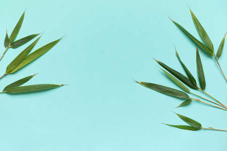 Top view tropical leaves on vibrant background. Summer flat lay composition.の写真素材