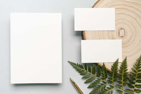 Styled summer wedding desktop stationery mockup. Blank greeting and invitation card. Green tropical leaves with empty space.の写真素材