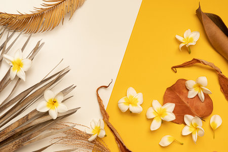 Top view tropical leaves on vibrant background. Summer flat lay composition.の写真素材