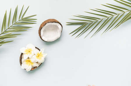 Tropical background with coconut and palm leaves.の写真素材