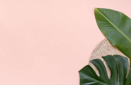 Top view tropical leaves on vibrant background. Summer flat lay composition.の写真素材