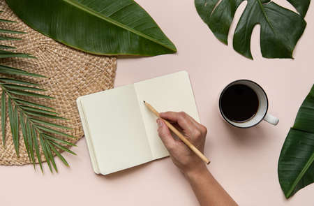 Tropical workspace concept. Notepad and tropical palm leaves. Mockup presentation workplace.の写真素材