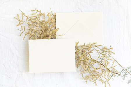 Styled summer wedding desktop stationery mockup. Blank greeting and invitation card. Green tropical leaves with empty space.の写真素材