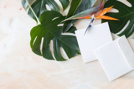 Styled summer wedding desktop stationery mockup. Blank greeting and invitation card. Green tropical leaves with empty space.の写真素材