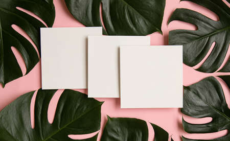 Styled summer wedding desktop stationery mockup. Blank greeting and invitation card. Green tropical...