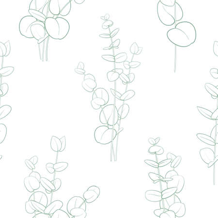 Set of different branches of eucalyptus, seamless pattern and circle frame on white background.のイラスト素材