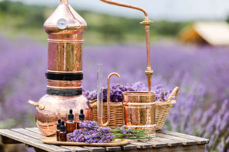 Distillation of lavender essential oil and hydrolate. Copper alambic for the flowering field.の写真素材