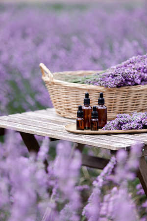 Amber essential lavender oil bottle. Violet lavendar field in Provence.の写真素材