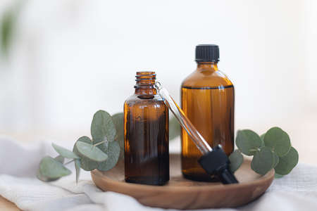 Essential oils in glass dark bottle. Skin and body care treatment concept. Eucalyptus branch.の写真素材