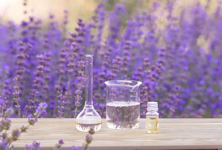 Amber essential lavender oil bottle. Violet lavendar field in Provence.の写真素材