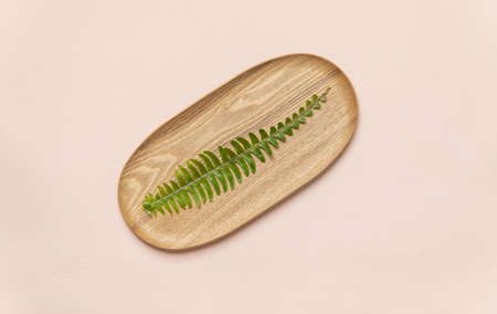 Top view tropical leaves on vibrant background. Summer flat lay composition.の写真素材