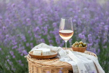 Glass of white wine in a lavender field. Violet flowers on the background.の写真素材