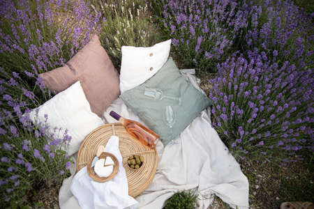 Picnic at sunset in the lavender field.Rose wine and cheese.の写真素材