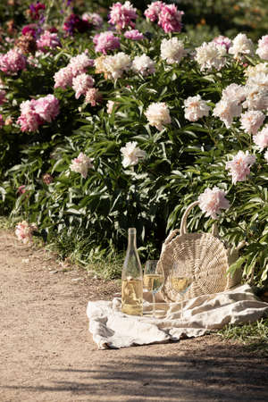 Romantic picnic on the lawn with peonies.の写真素材