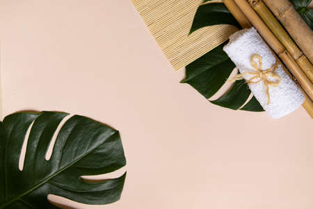 Top view tropical leaves on vibrant background. Summer flat lay composition.の写真素材