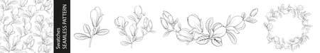Set of different branches of magnolia, seamless pattern and circle frame on white background.のイラスト素材