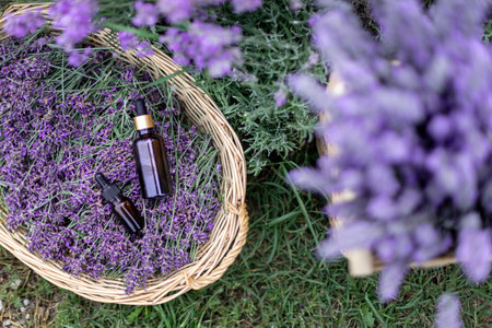Amber essential lavender oil bottle. Violet lavendar field in Provence.の写真素材