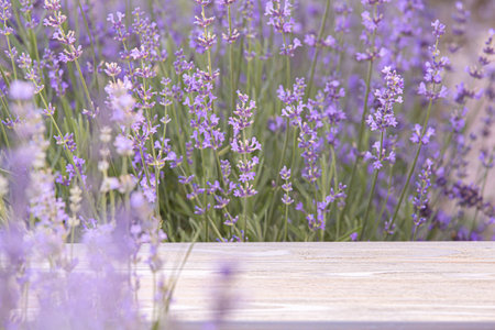 Perspective background with wooden table for your design. Lavender field region Provenceの写真素材