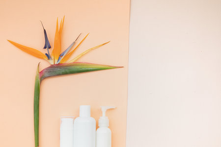 Skin care concept with white bottle and palm leaves on tropical background.の写真素材
