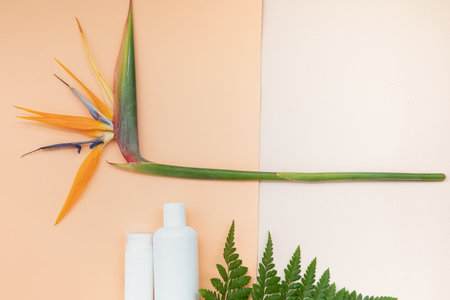 Skin care concept with white bottle and palm leaves on tropical background.の写真素材