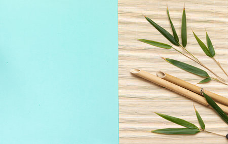 Top view tropical leaves on vibrant background. Summer flat lay composition.の写真素材