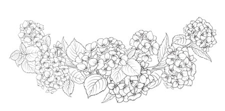 Black silhouette of a garland of hydrangeas flowers. Vector illustration on white background.のイラスト素材