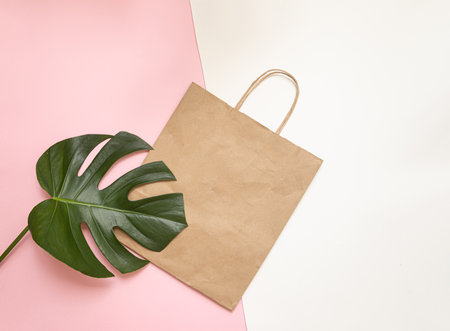 Flat Lay shopping concept with paper bag and tropical leaves. Elegant composition with elegant accessories.の写真素材