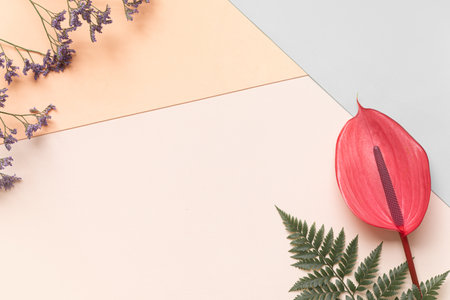 Top view tropical leaves on vibrant background. Summer flat lay composition.の写真素材