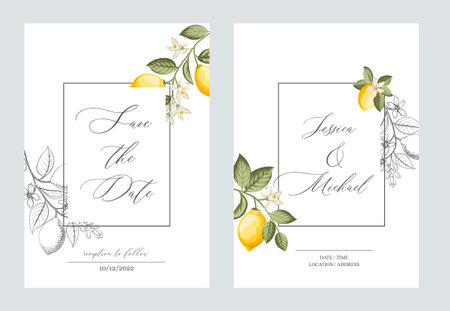 Wedding invitation. Lemon illustration. hand-drawn frame.のイラスト素材