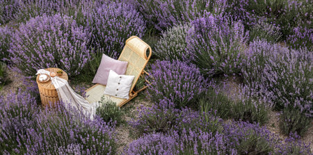 Violet flowers on the background.の写真素材