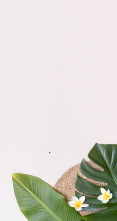 Tropical background with palm leaves and flower.の写真素材