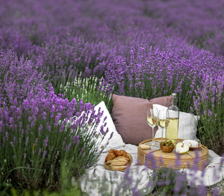 Glass of white wine in a lavender field. Violet flowers on the background.の写真素材