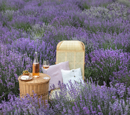 Glass of white wine in a lavender field. Violet flowers on the background.の写真素材