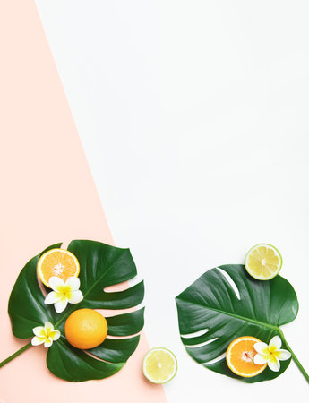 Fresh oranges and tropical leaf. Cutted citrus fruit for natural cosmetics.の写真素材