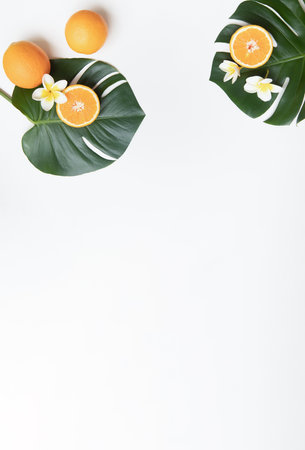Fresh oranges and tropical leaf. Cutted citrus fruit for natural cosmetics.の写真素材