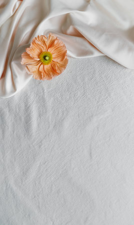 Orange Elegant Flower. White copy space backgoundの写真素材