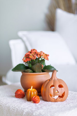 White Interior Decoration Halloween. White aesthetic photoの写真素材