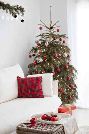 Red Christmas Decor Collection. Home Interiorの写真素材