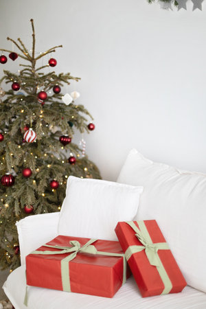 Red Christmas Decor Collection. Home Interiorの写真素材
