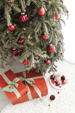 Red Christmas Decor Collection. Home Interiorの写真素材