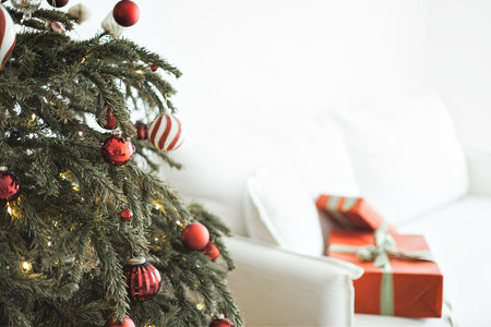 Red Christmas Decor Collection. Home Interiorの写真素材