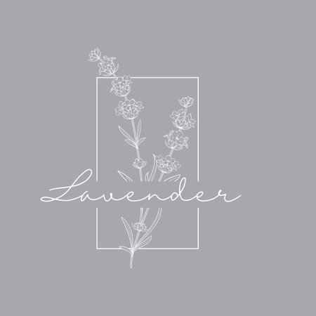 Lavender flower vector . Floral design labelのイラスト素材