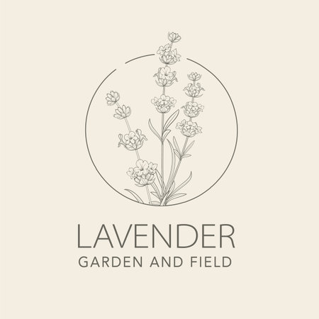 Lavender flower vector . Floral design labelのイラスト素材