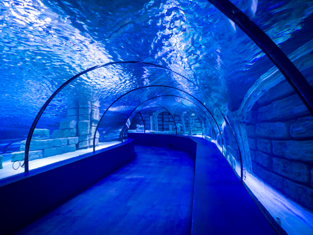 Colorful saltwater fish in Antalya aquarium, Turkeyのeditorial素材